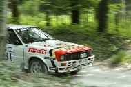 GFoS2019_Rally-OffRoad_SW245