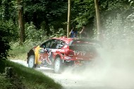 GFoS2019_Rally-OffRoad_SW250