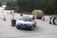 bov24_16_mrol1491_ms