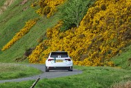 jc26_17_MRG_6986