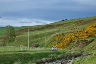 jc26_38_MRG_7358