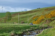jc26_40_MRG_7435