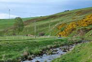 jc26_51_MRG_7756