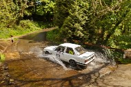 manx26_131_MRG_4200