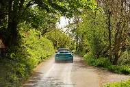 manx26_13_MRG_3147
