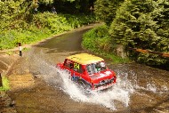 manx26_164_MRG_4483
