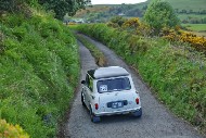 manx26_170_MRG_6637