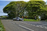 manx26_19_MROL9635