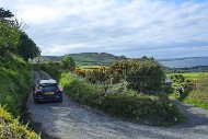 manx26_51_MRG_5780