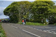 manx26_53_MROL9800