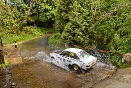 manx26_80_MRG_4278