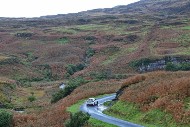 mull26_10_MRG_0894