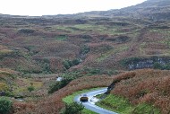 mull26_18_MRG_1380