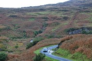 mull26_21_MRG_0982