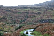 mull26_40_MRG_1391