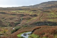 mull26_45_MRG_1518