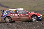 q03_img_8536