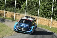 GFoS2019_Rally-OffRoad_SW193