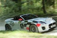GFoS2019_Rally-OffRoad_SW272