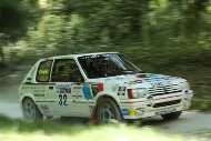 GFoS2019_Rally-OffRoad_SW275