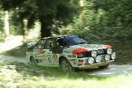 GFoS2019_Rally-OffRoad_SW276