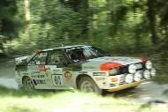 GFoS2019_Rally-OffRoad_SW277