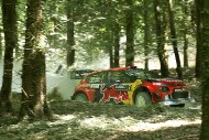 GFoS2019_Rally-OffRoad_SW299