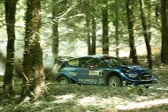 GFoS2019_Rally-OffRoad_SW301