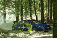GFoS2019_Rally-OffRoad_SW310