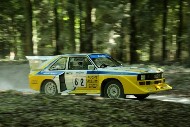 GFoS2019_Rally-OffRoad_SW342