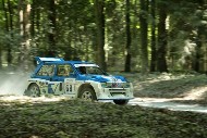 GFoS2019_Rally-OffRoad_SW346