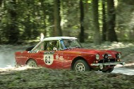 GFoS2019_Rally-OffRoad_SW352