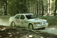 GFoS2019_Rally-OffRoad_SW368