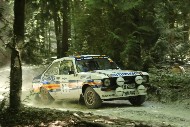 GFoS2019_Rally-OffRoad_SW377
