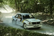GFoS2019_Rally-OffRoad_SW385