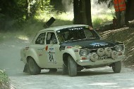 GFoS2019_Rally-OffRoad_SW478