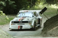 GFoS2019_Rally-OffRoad_SW510