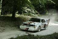 GFoS2019_Rally-OffRoad_SW515