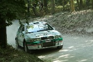 GFoS2019_Rally-OffRoad_SW548