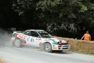 GFoS2019_Rally-OffRoad_SW71